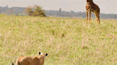 ChallengestoUrbanWildlifeConservation