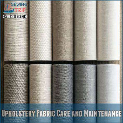 ProtectingUpholstery:FabricCareandMaintenance