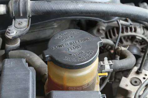 Power Steering Fluid: When to Check & Change